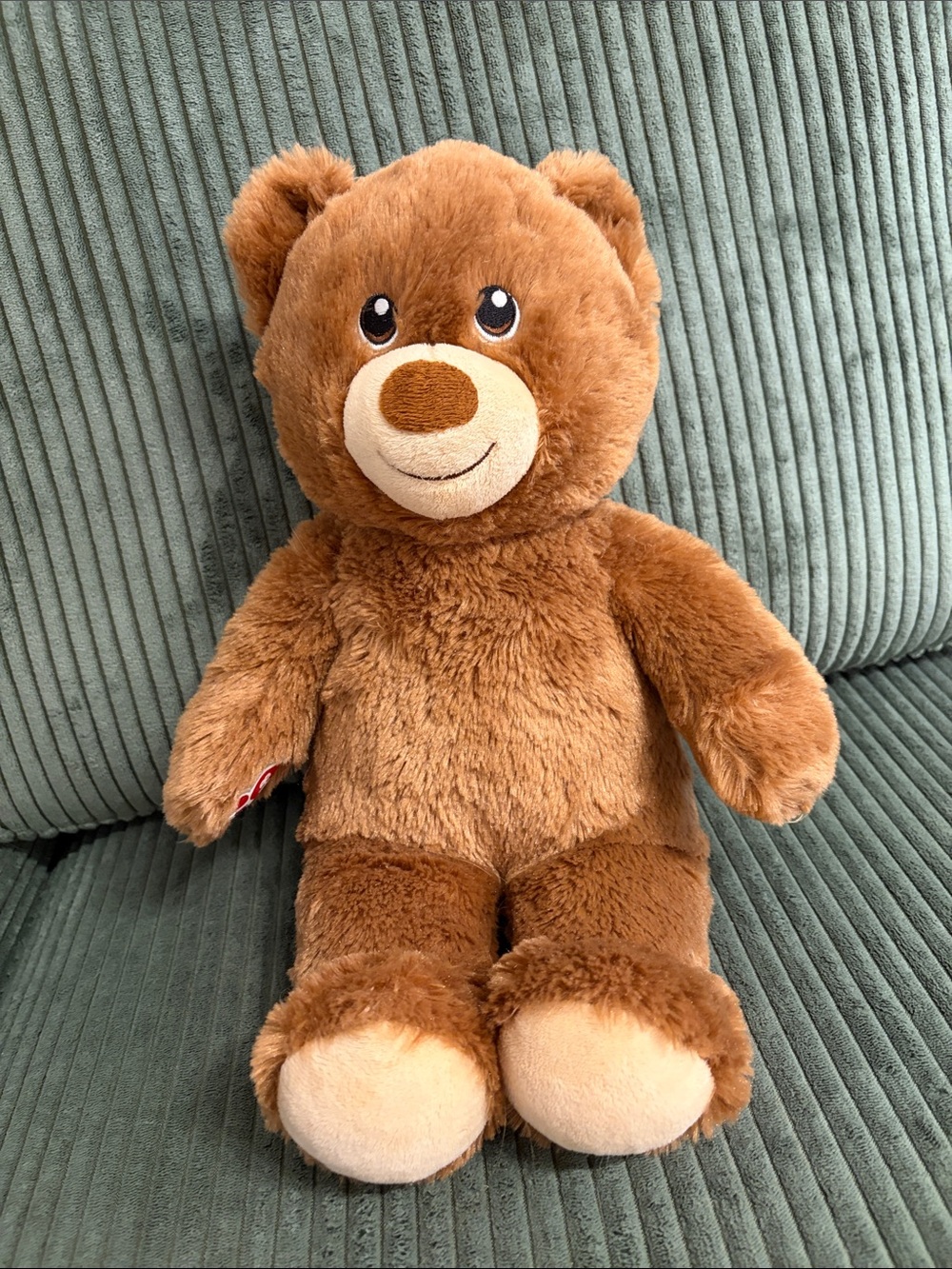 Build-A-Bear Brown Plush Teddy Bear